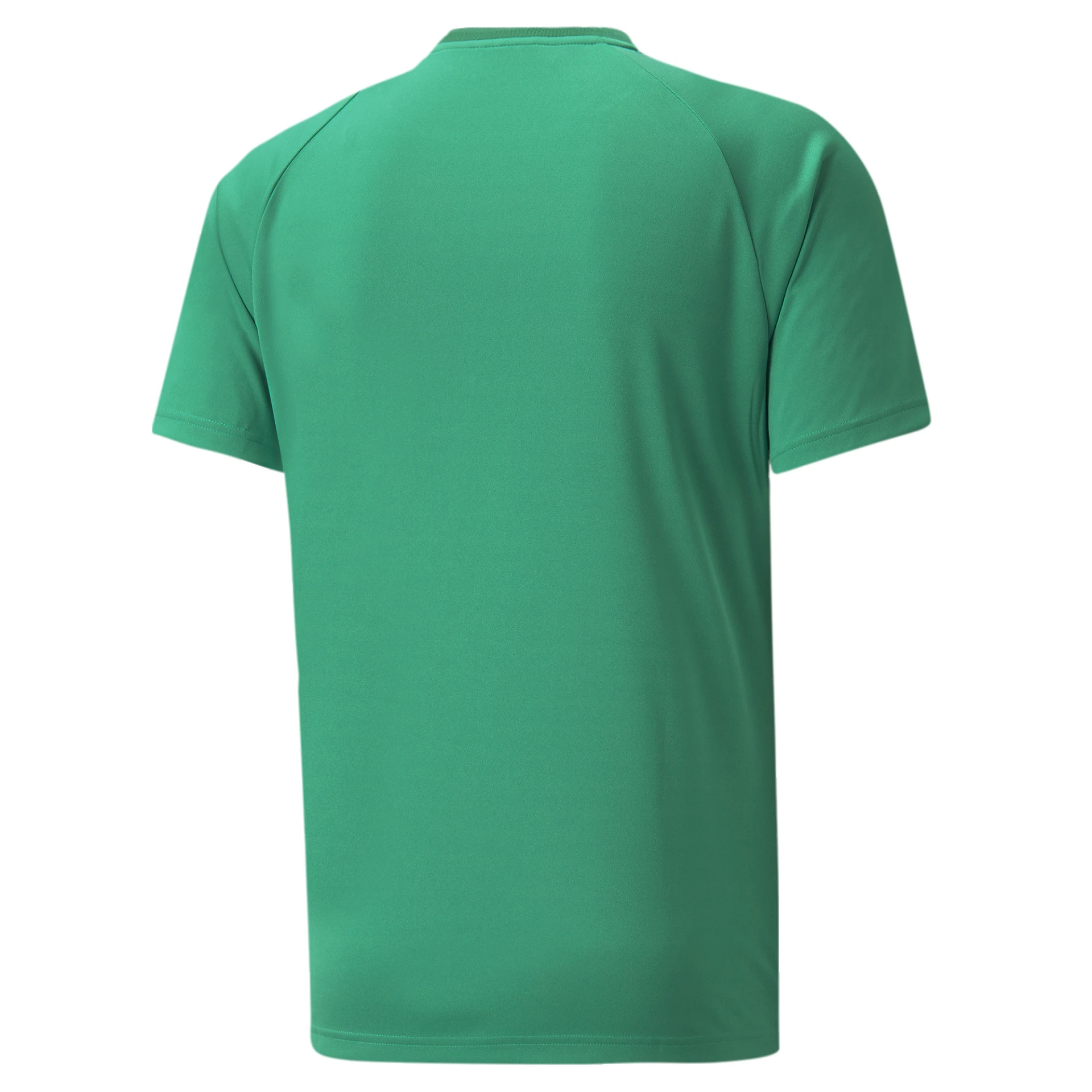 PUMA Herren_Shirt_teamVISION_Jersey A4T003704921 005 PEPPER GREEN-POWER GREEN-P