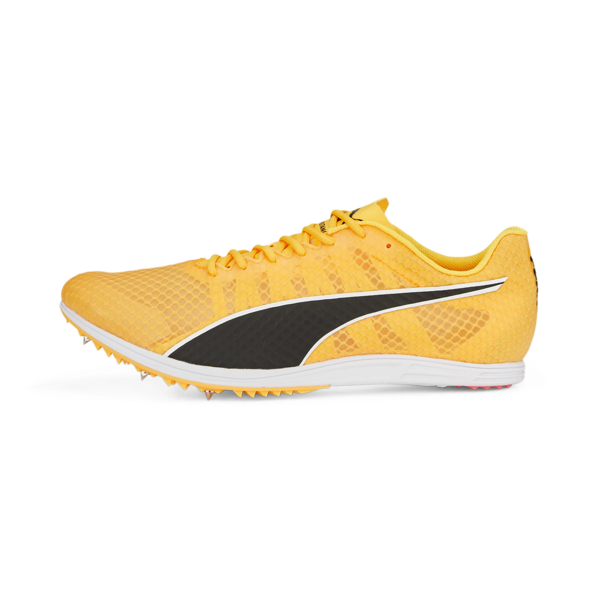 PUMA evoSPEED_Distance_11 377961 001 SUN STREAM-PUMA BLACK-PUMA