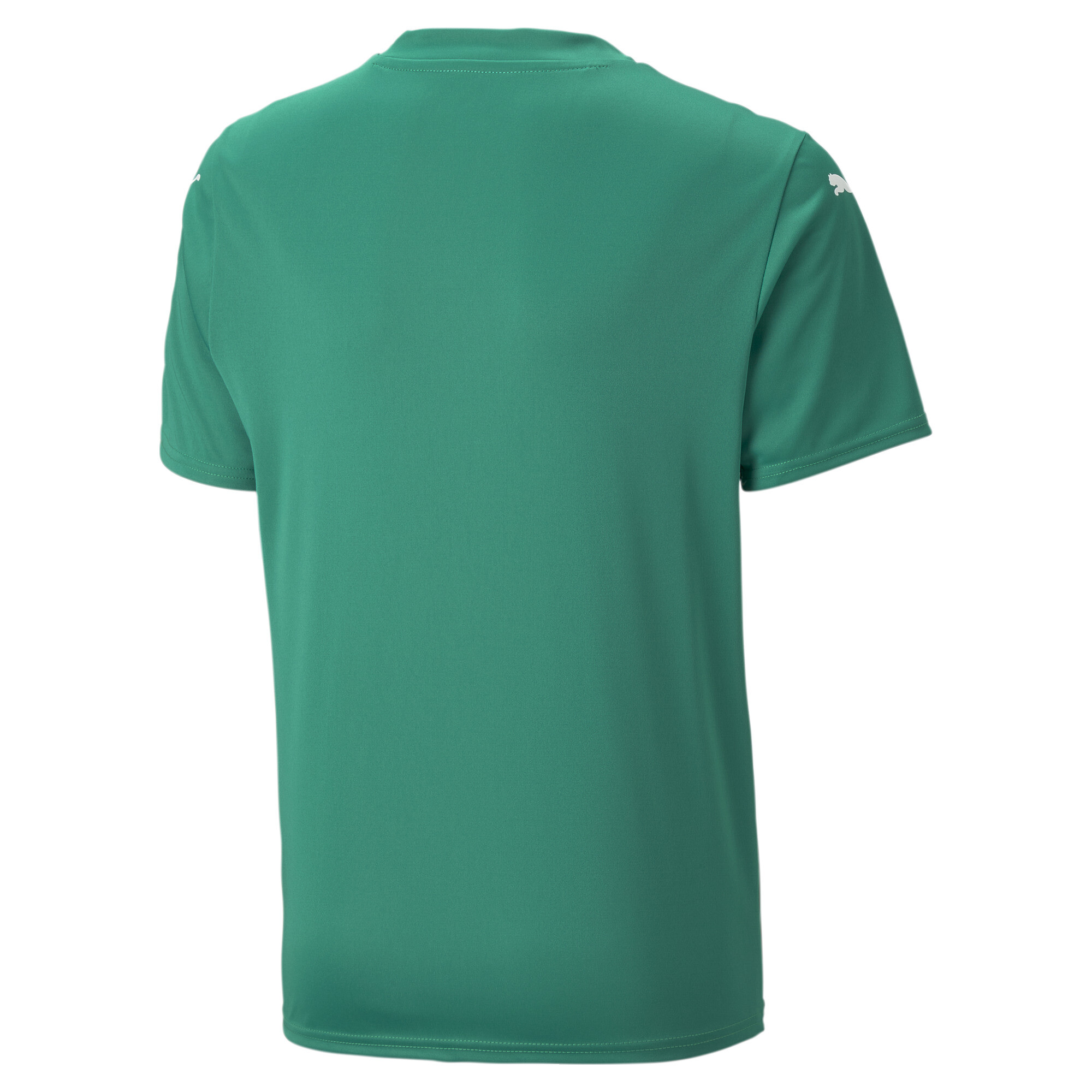 PUMA teamULTIMATE_Jersey_Jr 705656 005 PEPPER GREEN