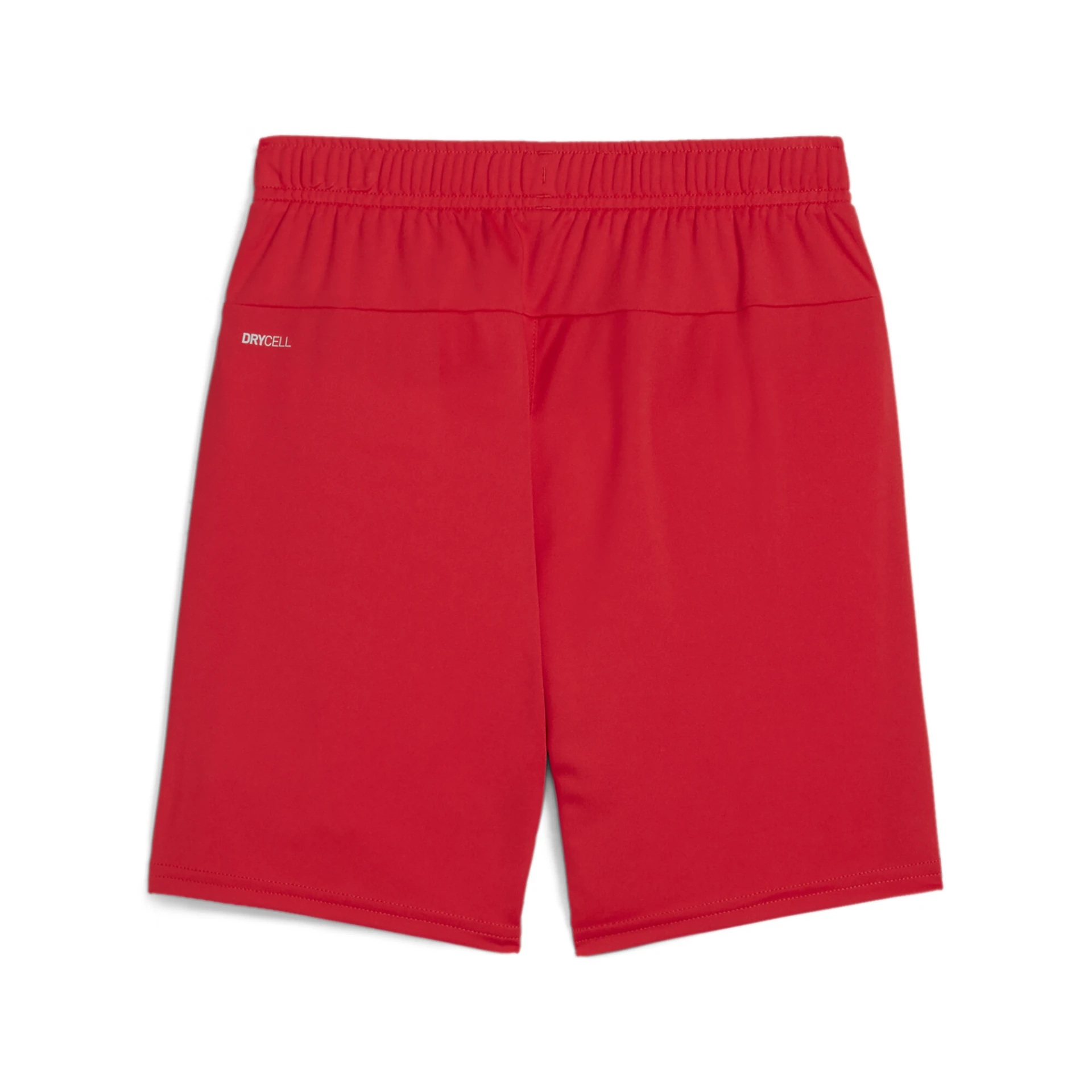 PUMA teamGOAL_Shorts_Jr 705753 001 PUMA Red-PUMA White