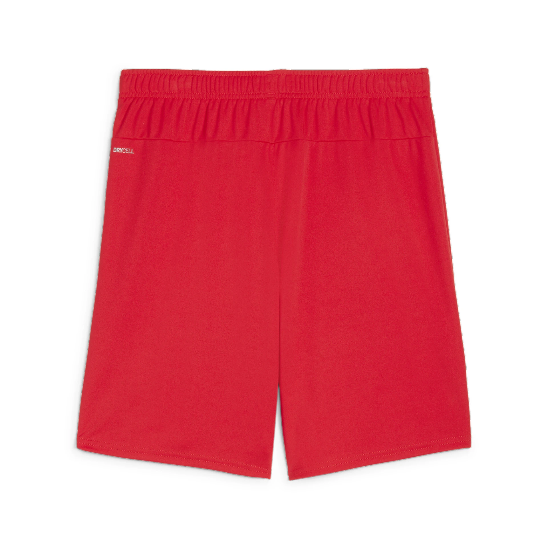 PUMA teamGOAL_Shorts 705752 001 PUMA Red-PUMA White