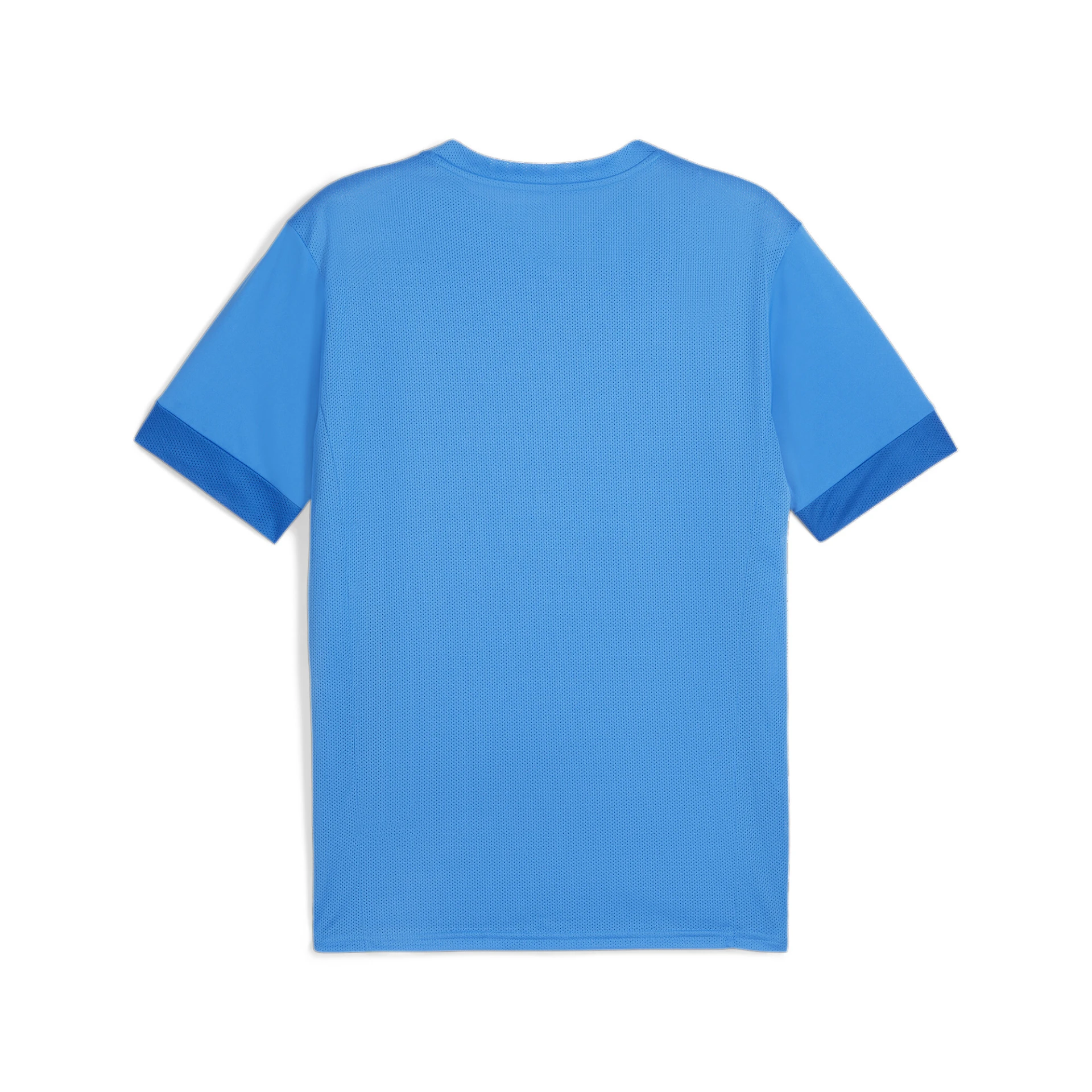 PUMA teamGOAL_Matchday__Jersey 705747 002 Electric Blue Lemonade-PUM