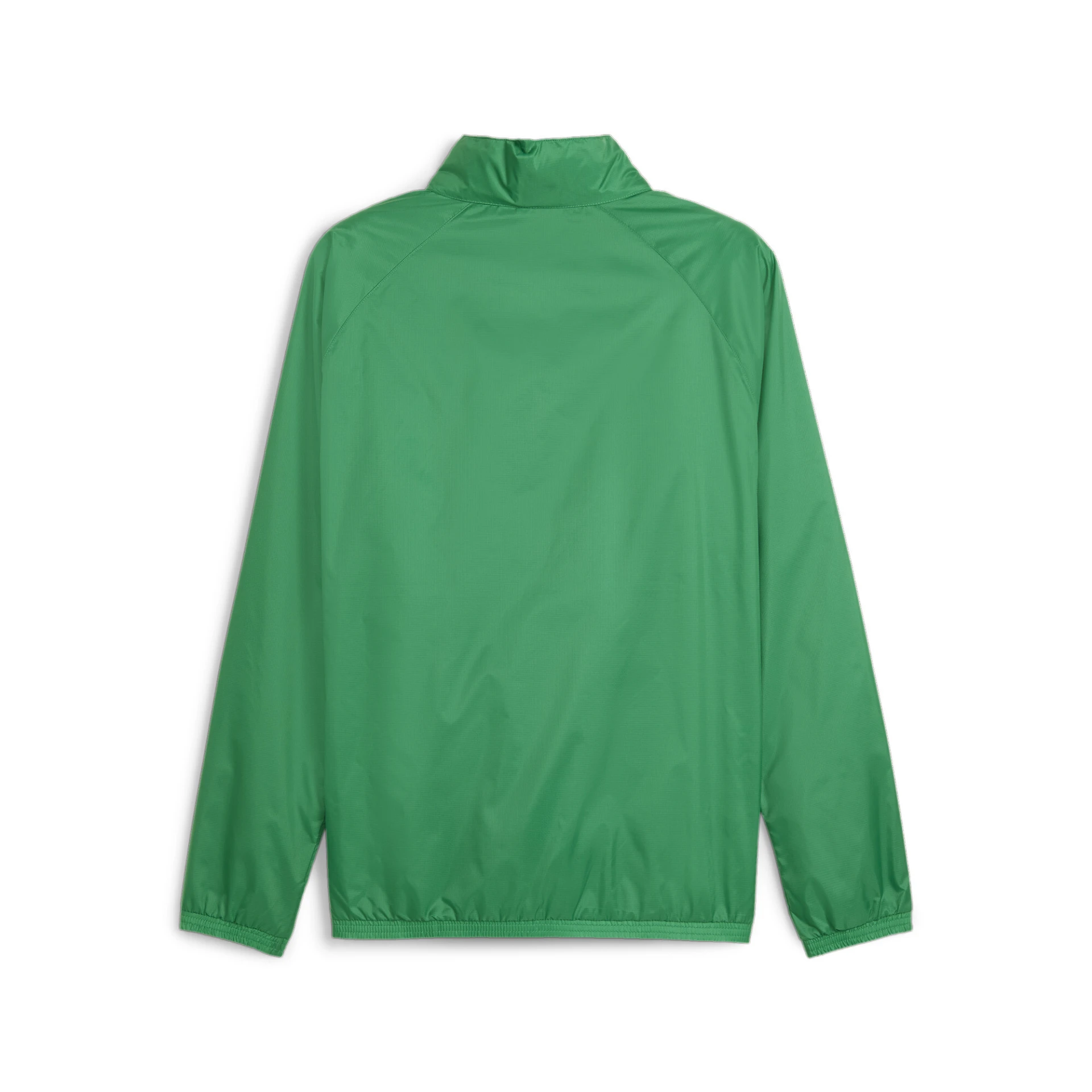 PUMA teamGOAL_All_Weather_Jacket 659038 005 Sport Green-PUMA White