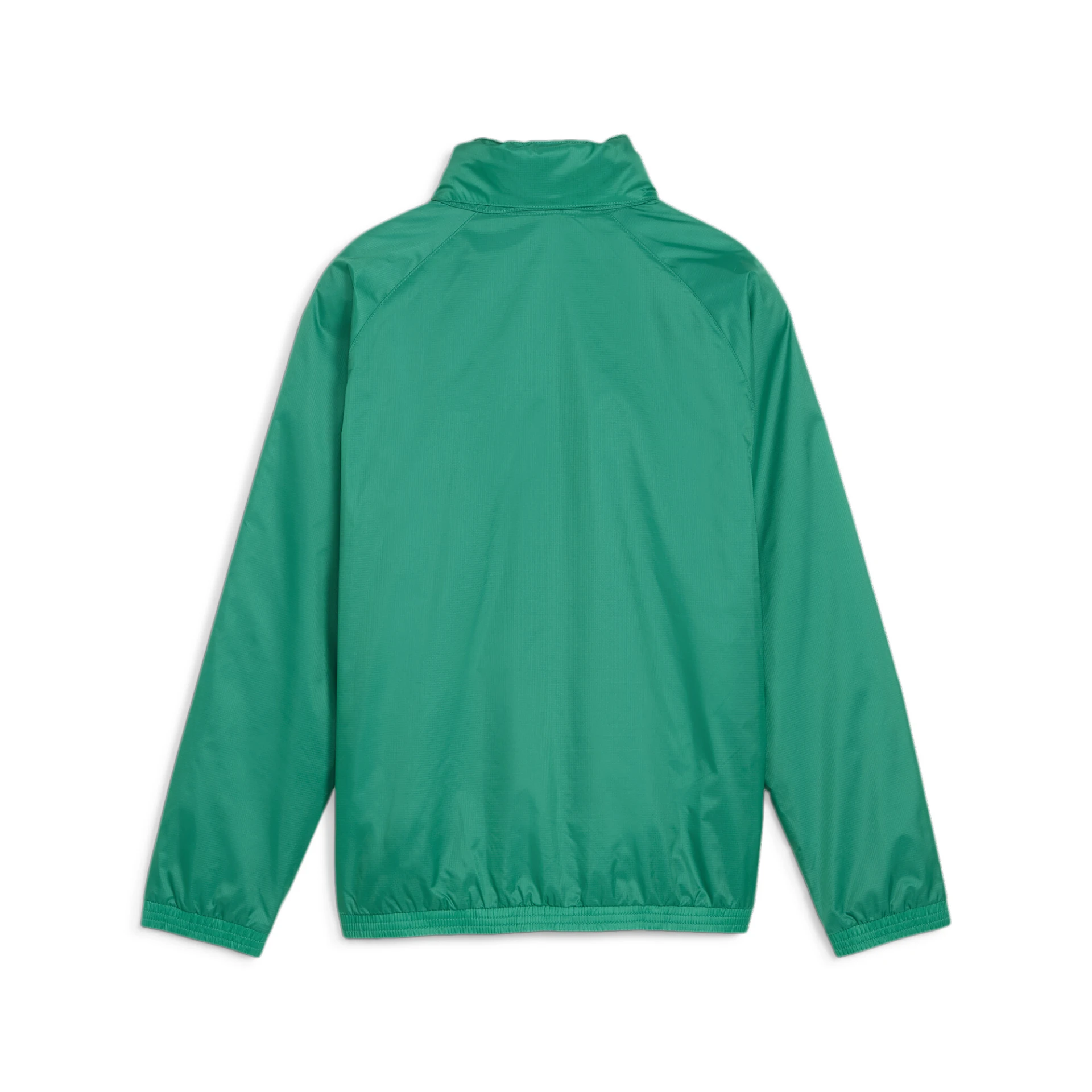 PUMA teamGOAL_Allweather_Jacket_Jr 659045 005 Sport Green-PUMA White